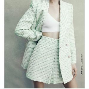 ZARA Pleated Structured Skirt